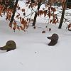 Weihnachten 2010 048